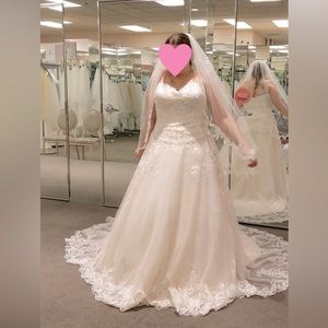 Vintage Rose Wedding Gown, cleaned and in preservation box